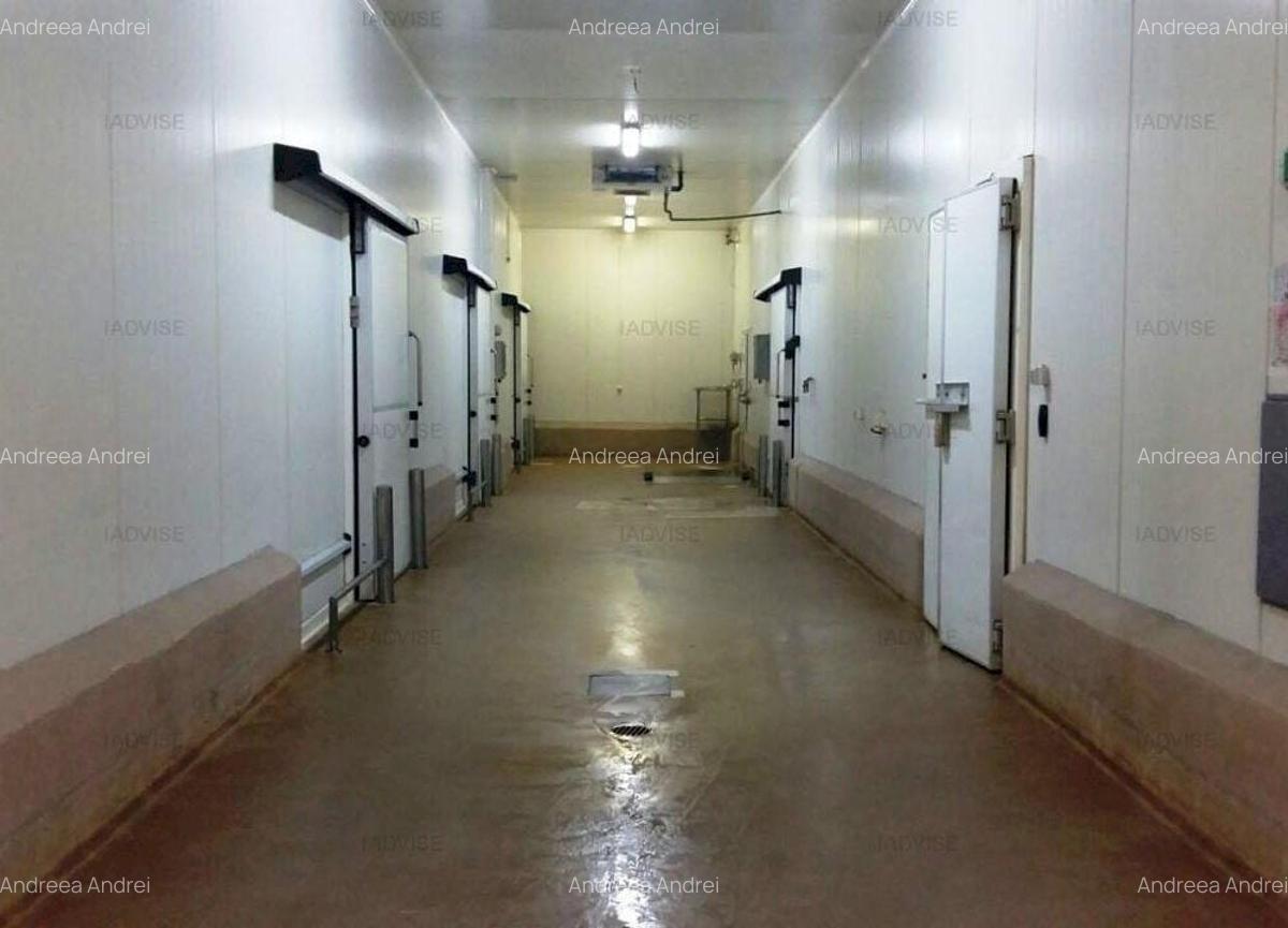 Spațiu industrial, 1000 mp în Bartolomeu - 4