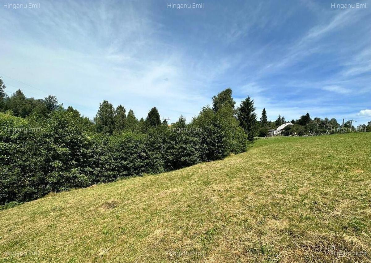 Vanzare teren Fundata - priveli?te panoramica - Drumul... - 6