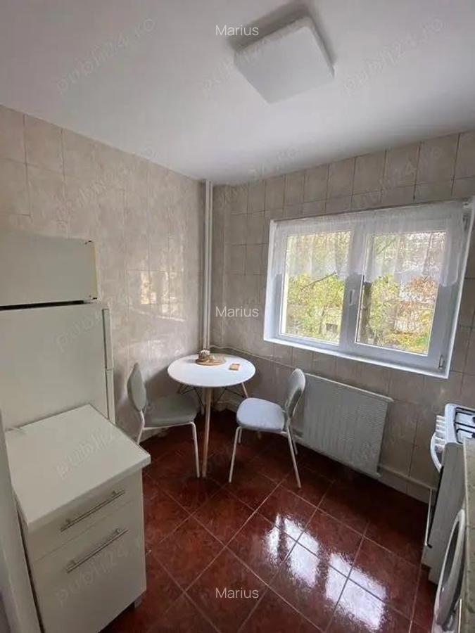 Garsoniera iancului-modern - 6