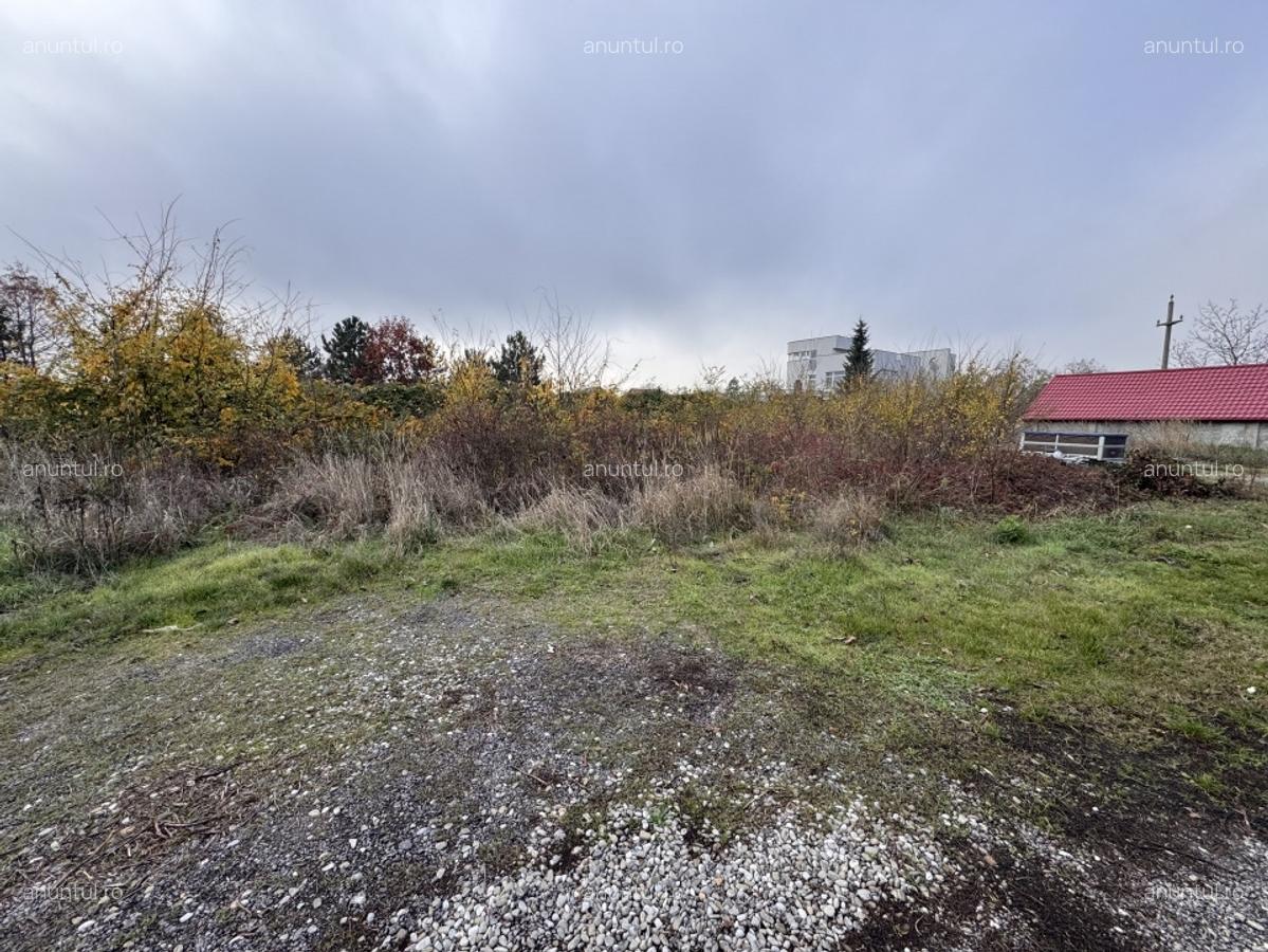 Ilfov Teren deosebit in Branesti sat Pasarea ! - 9