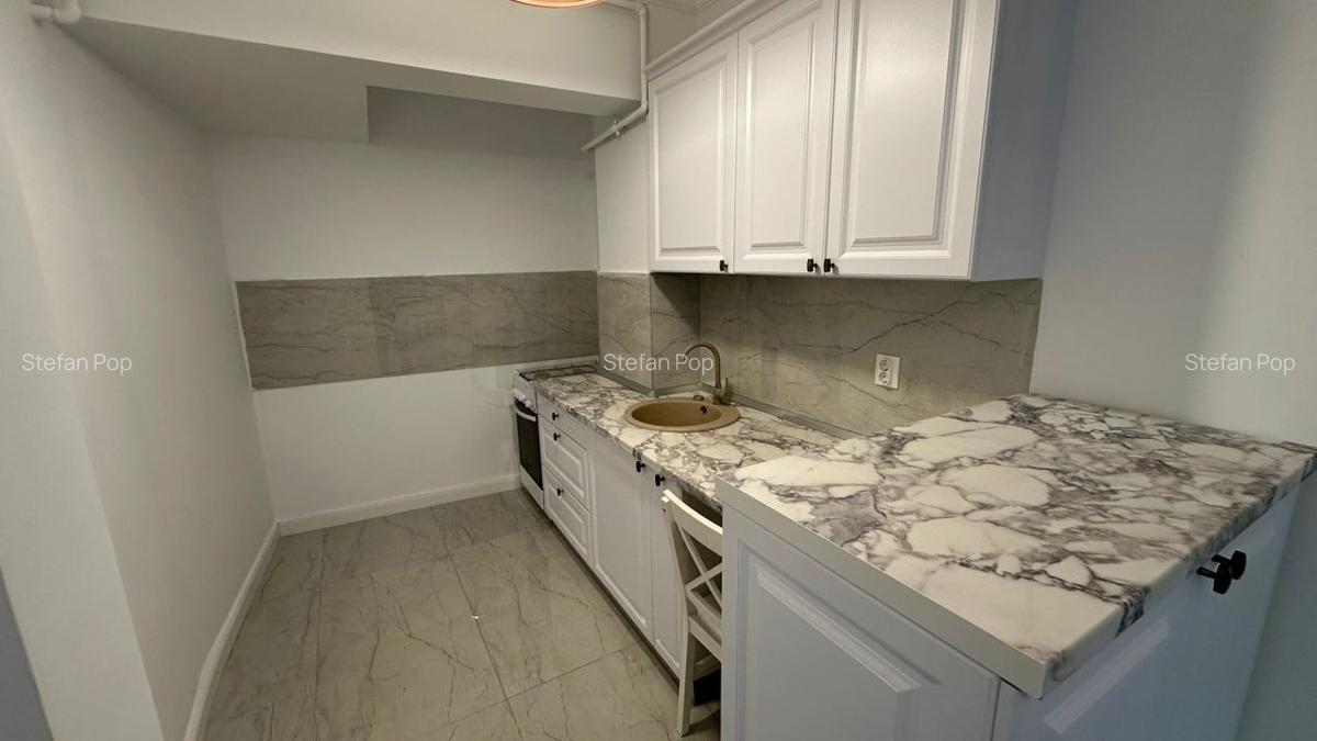 REA1017166 Apartament 2 camere cu gradina proprie Mosilor - 6