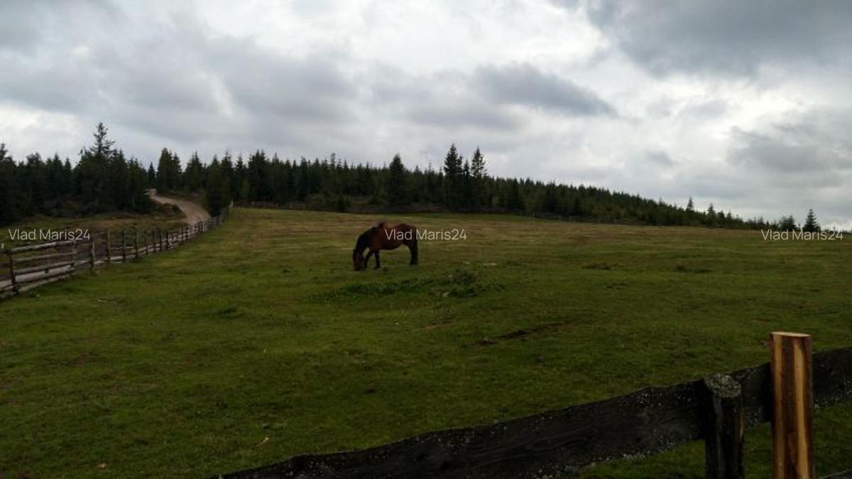 Vand Teren in Maguri, comuna Maguri-Racatau - 2