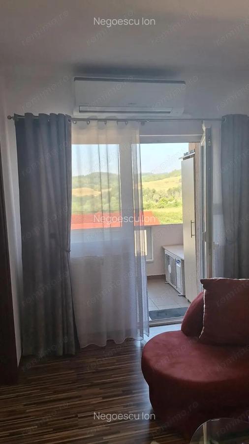 Apartament 2 cam de vanzare Curtea de Arges - 12