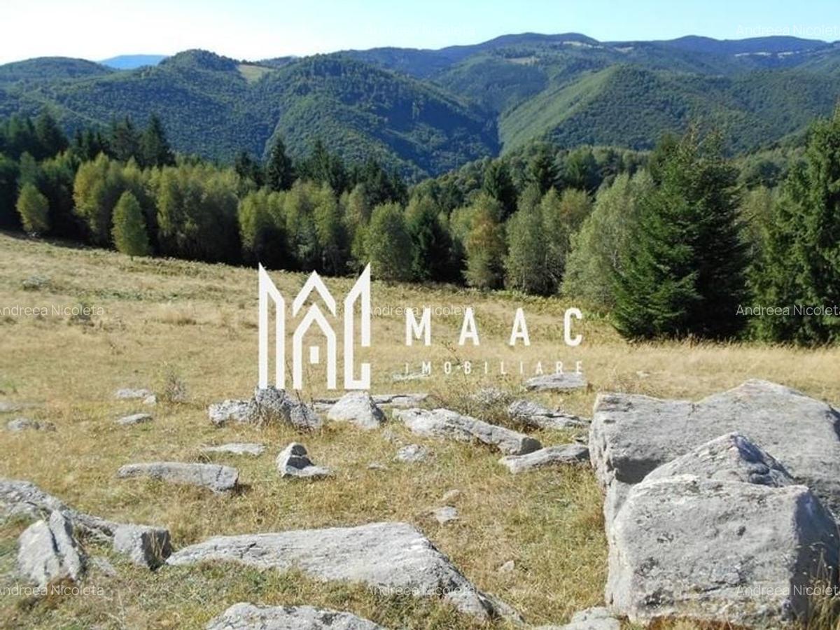 Teren Extravilan | 19.593 MP | Zona Saliste - 3