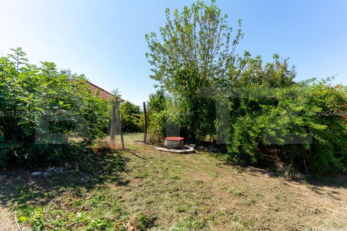 Casa de vanzare in Rovina(Branisca) - 11