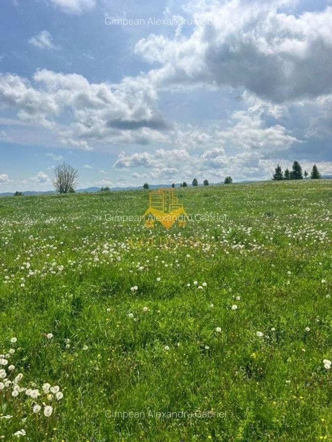 Teren Construcții intravilan de 10000 mp, în Mărișel - 3