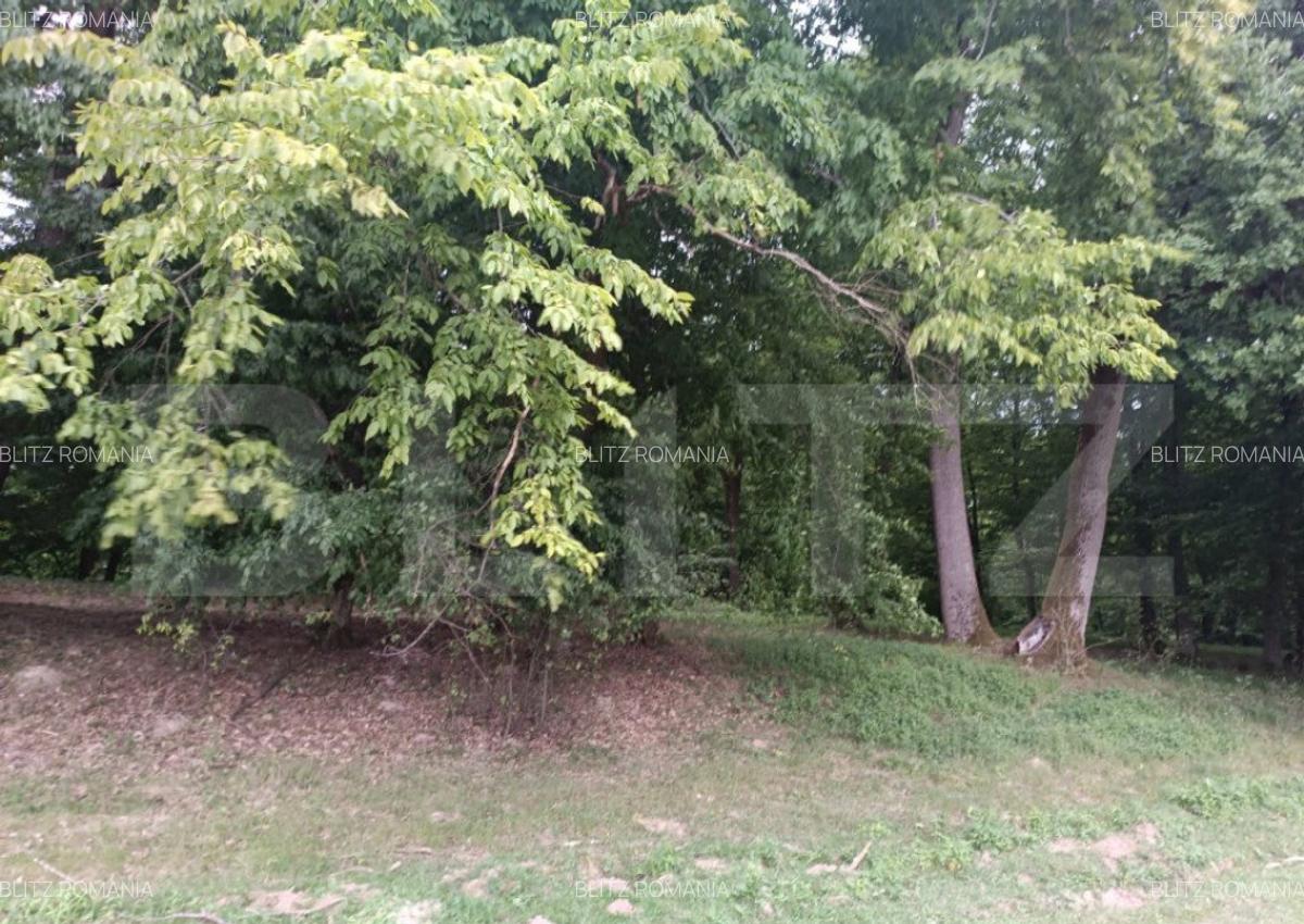 Teren pentru cabana /pensiune locatia perfecta pentru relaxa - 4