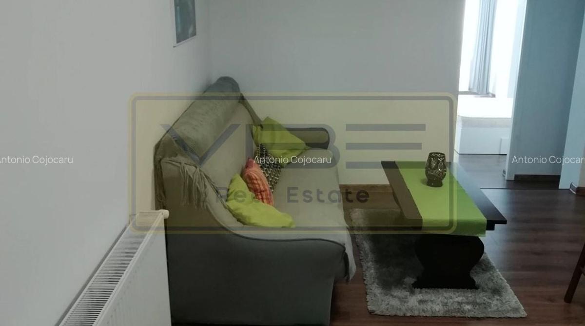 Popas Pacurari- Casa Auto Dacia - Apartament 1 camera - Parcare privata - 14