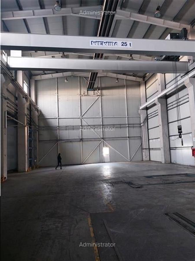 Hala cu inaltime de 15m si pod rulant de 25t - 2