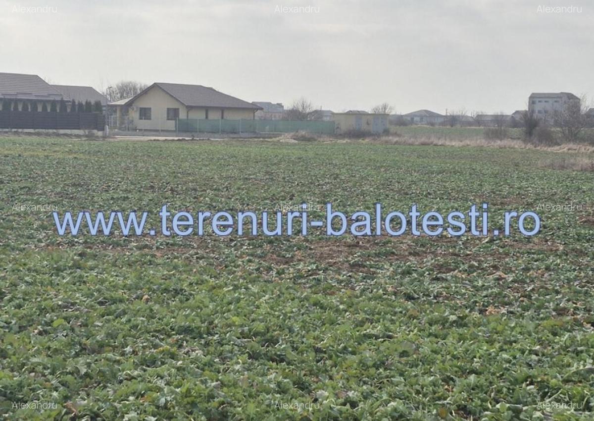 Teren intravilan Balotesti,langa ansamblul Terra si padure, 17000 euro - 10