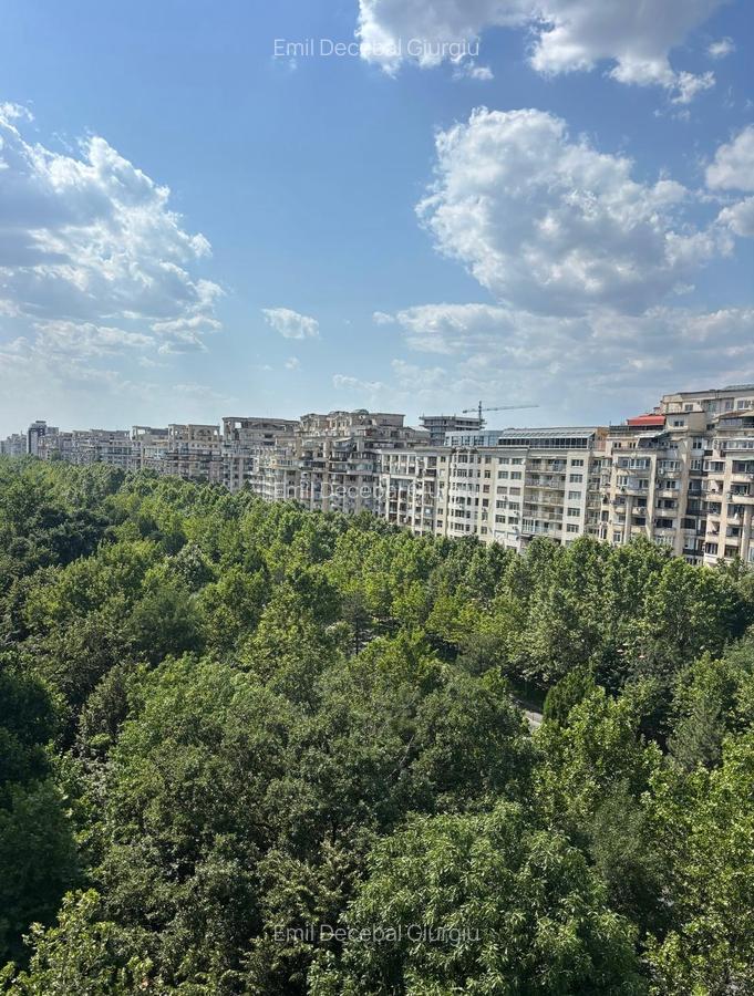 UNIRII,bulevard,vedere unica, centrala termica proprie in imobil stradal,monolit - 2