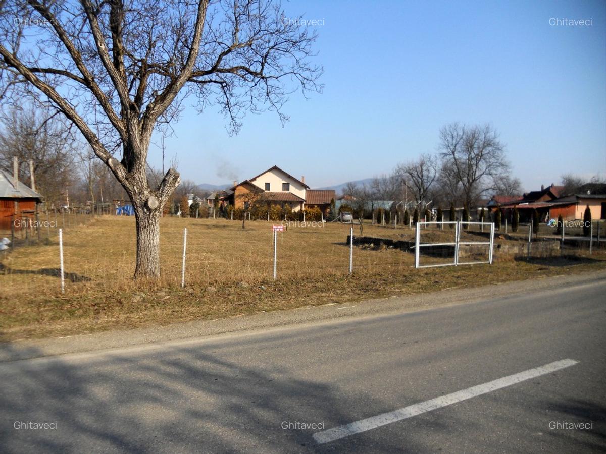 TEREN INTRAVILAN ULTRACENTRAL LA 6 KM DE SIGHET LA SOSEA PRINCIPALA ASFALTATA - 6