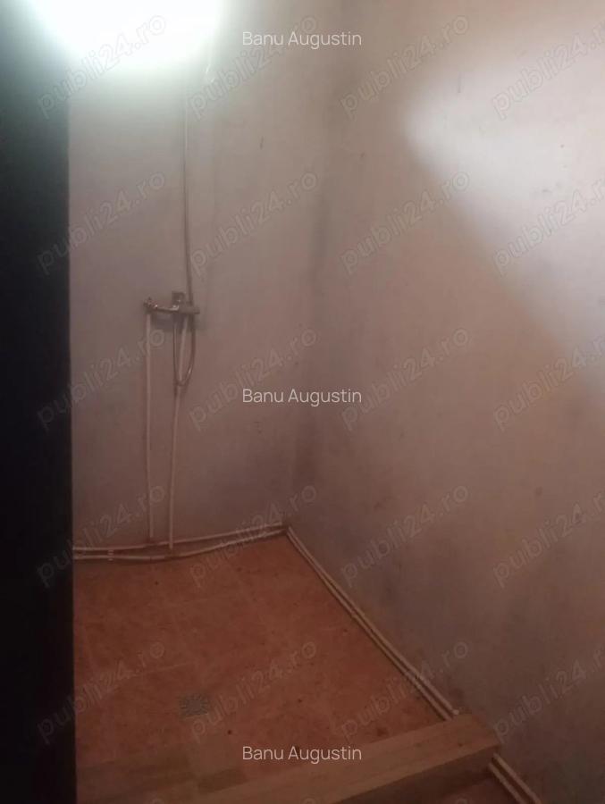 Casa de vanzare Benesti Sibiu - 4