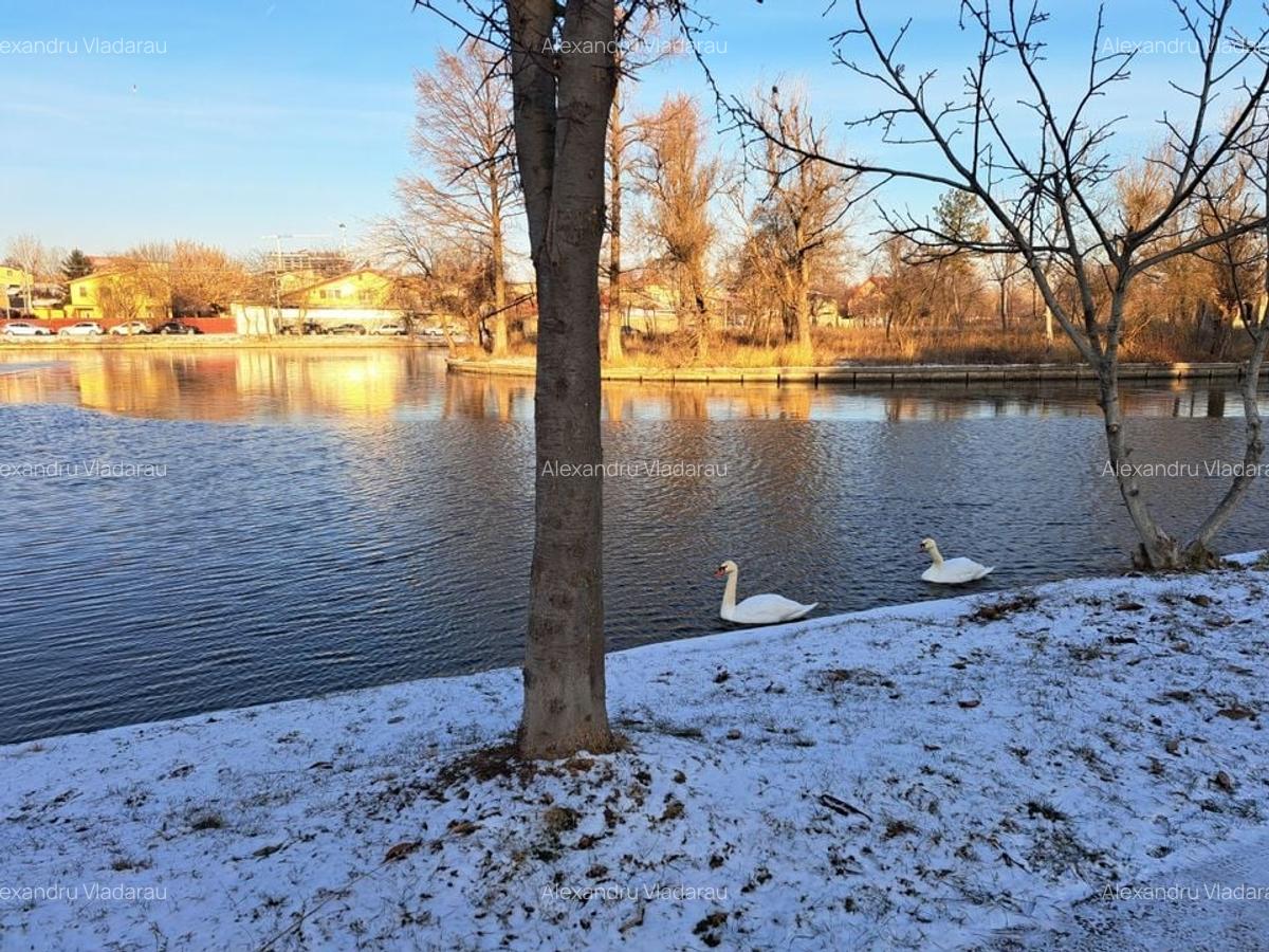 Teren intravilan 340 mp - Parcul Plumbuita - 10