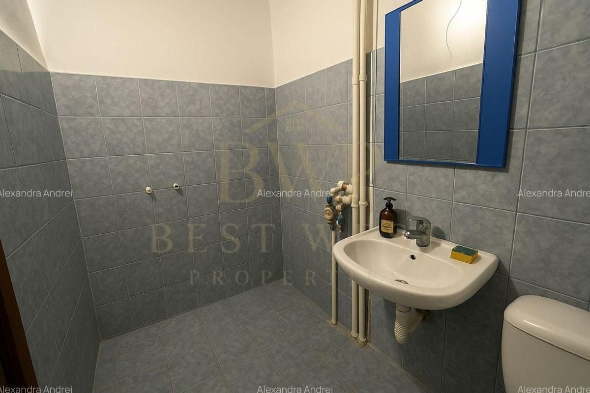 Garsonieră decomandată, etaj intermediar, Buziașului - 3