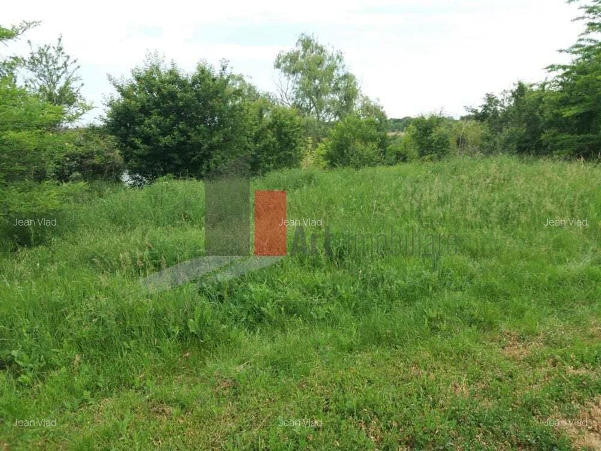 Teren Buftea cu iesire la lac - 18