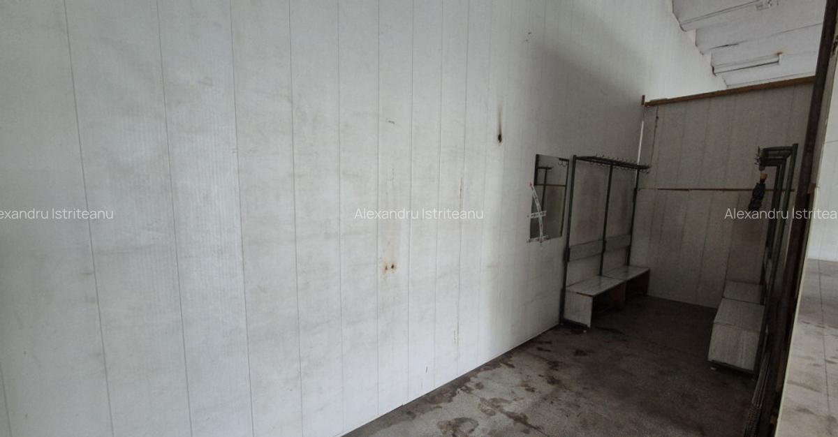 Spatiu Th. Pallady | Ozana | Depozitare-Productie 180mp - 5