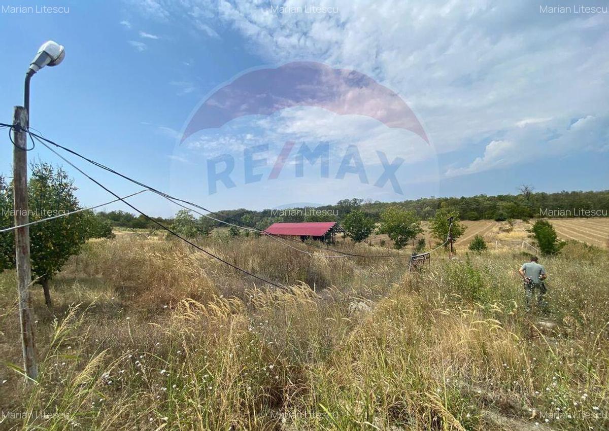 Teren cu hala, Bucsani, Crevedia / DN 61 (A1, A0) 40 Km ... - 16