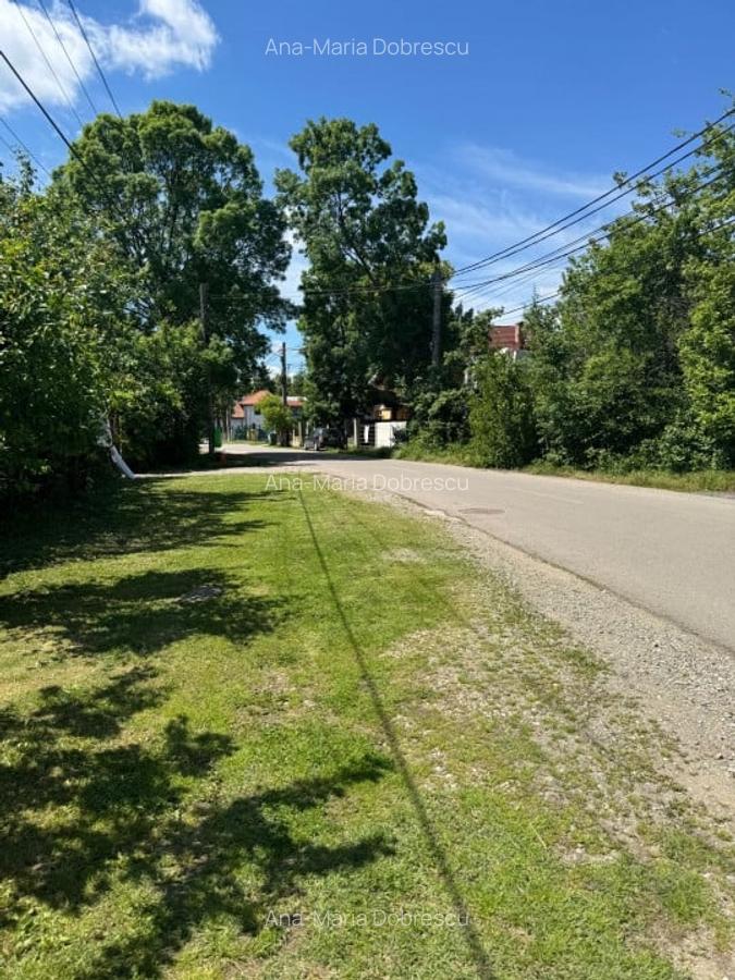 Teren Snagov – Ideal pentru dezvoltare rezidentiala sau investitie! - 3