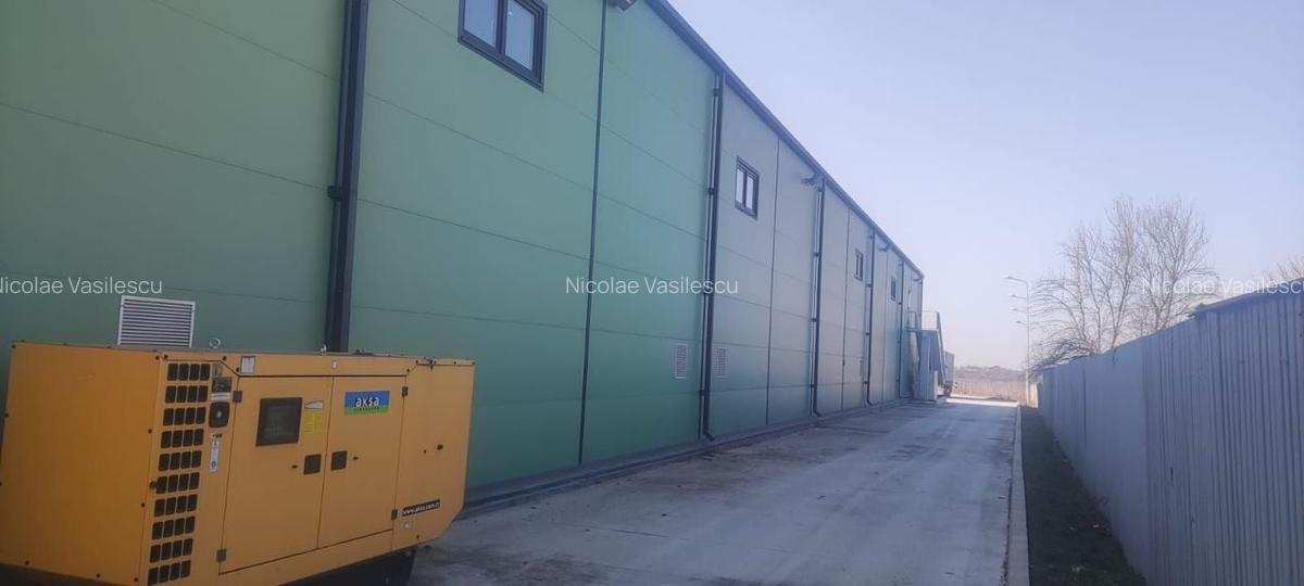 Hala zona de nord Buftea - 2