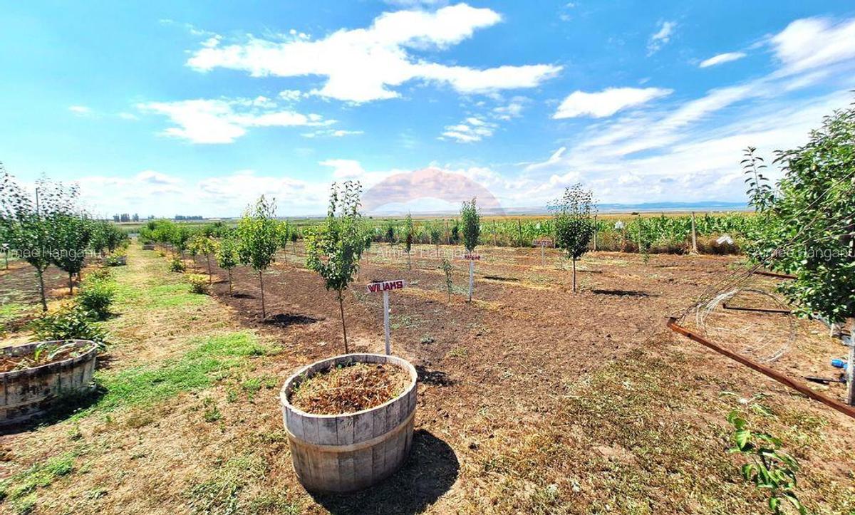 Casa cu teren de vanzare - 12 Casa cu teren de vanzare - 12