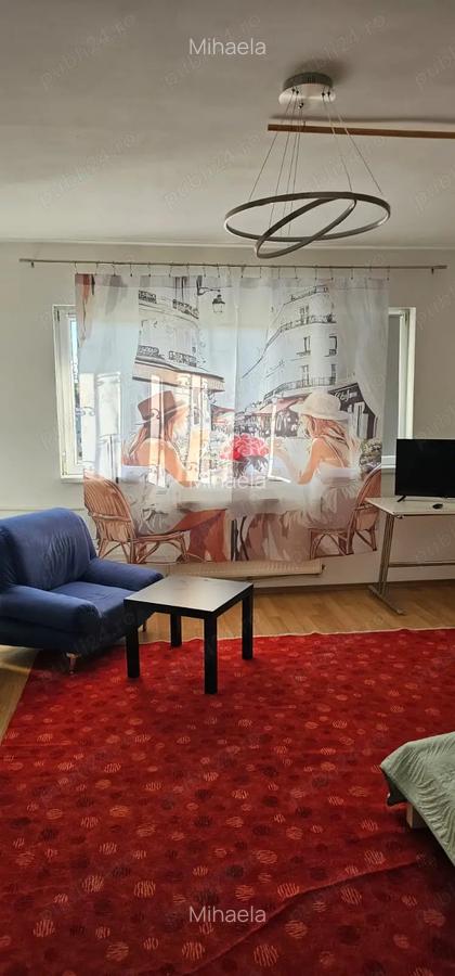 Garsoniera Dr. Taberei ANL Brancusi Dr. Doftanei - 3