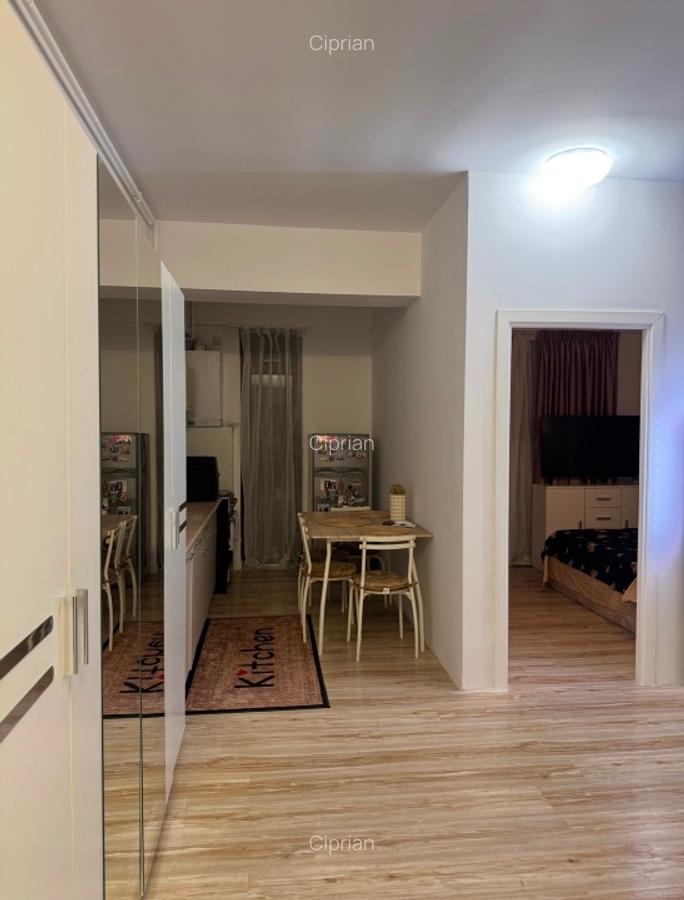 Apartament la 3 minute de metrou - Camil Ressu - N Grigorescu- parc IOR - 9