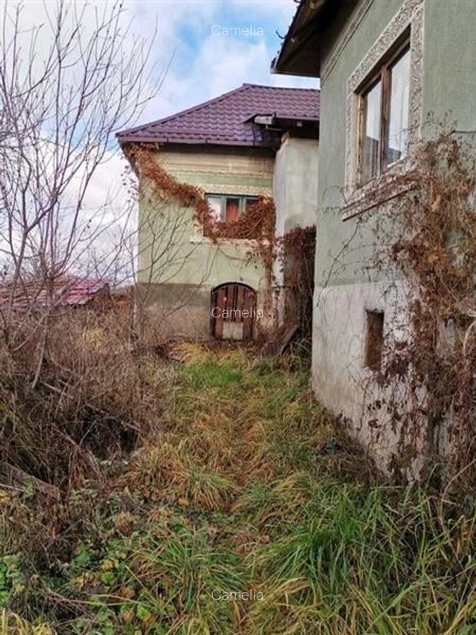 Casă cu 3500 mp Teren, Schitu-Golești, Argeș! - 9