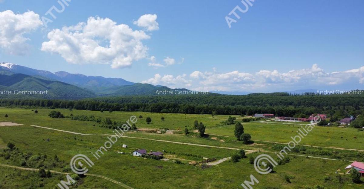 Teren intravilan 1000 mp de pe Valea Avriguluiu - 3
