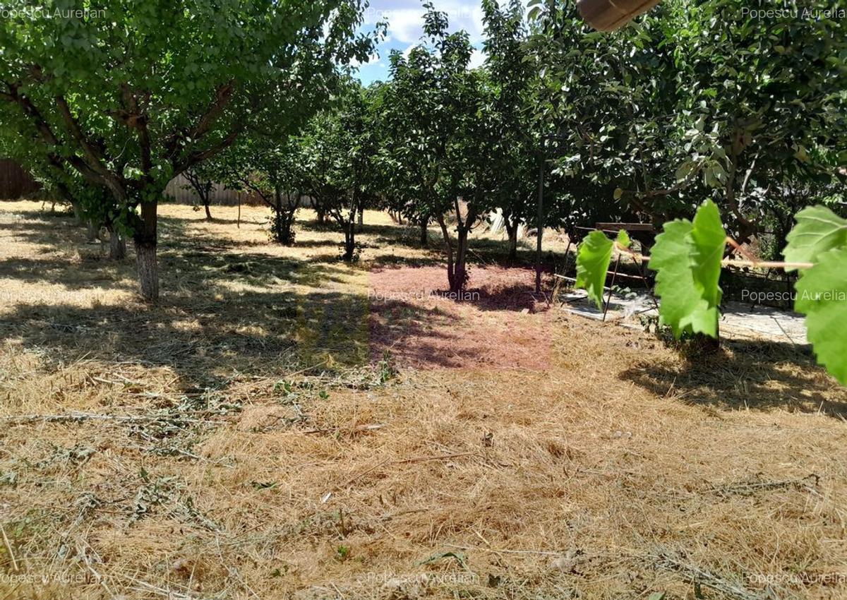 Movilita - vanzare casa 5 cam plus livada pe rod si teren... - 13