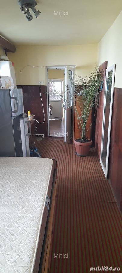 Casa de vanzare Viile Noi - 7