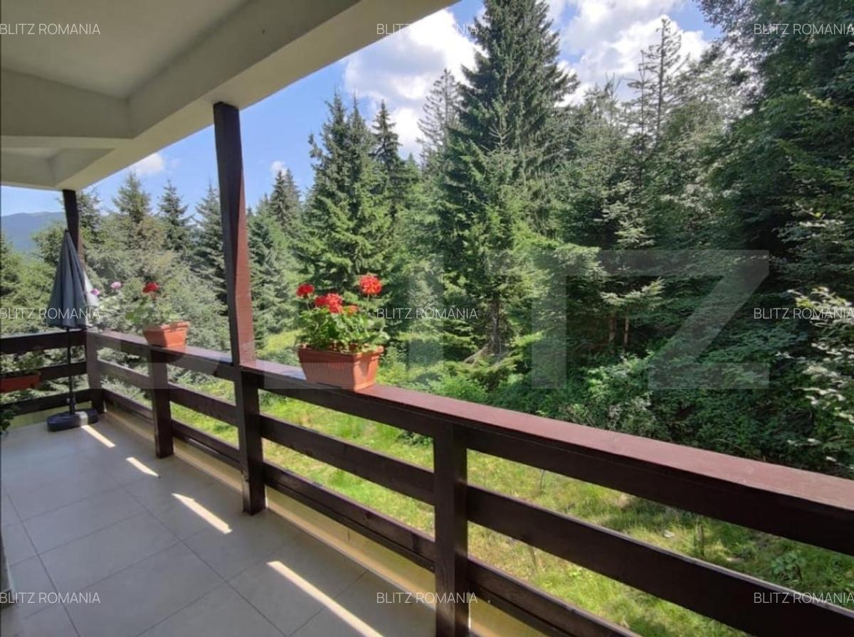 Studio cochet Predeal - mobilat, utilat, vedere superba! - 13