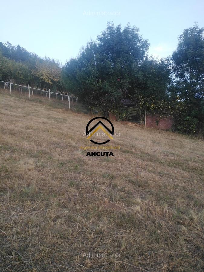 Teren Construcții intravilan de 1225 mp, în Gârbău - 2