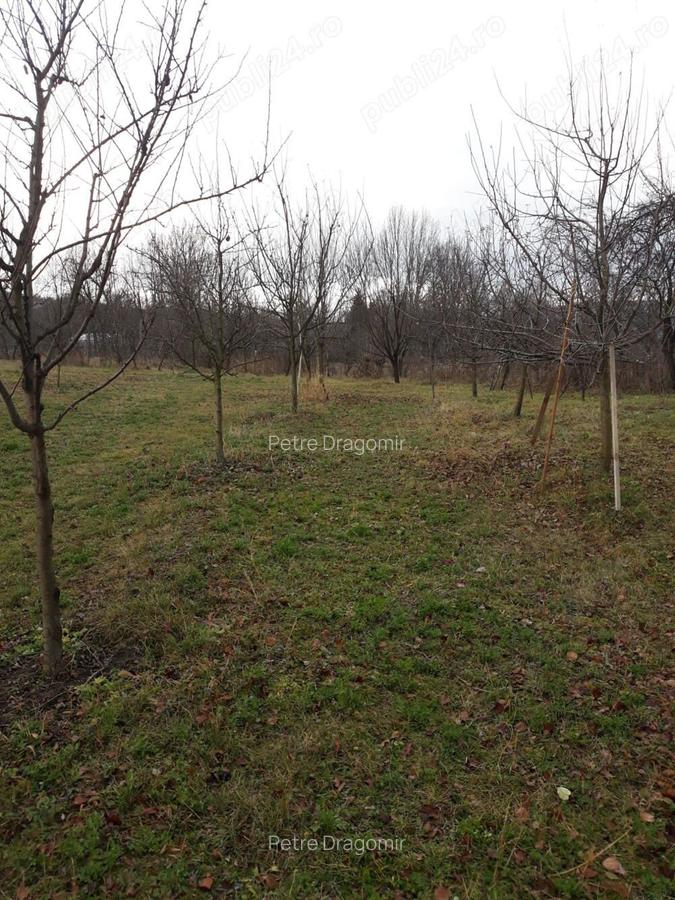 Casa cu teren si livada de vanzare - 5 Casa cu teren si livada de vanzare - 5