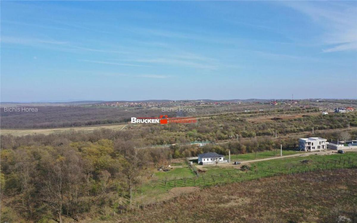 2500 MP | PARCELABIL IN 4 LOTURI DE CASA | ZONA DEALURI - 5