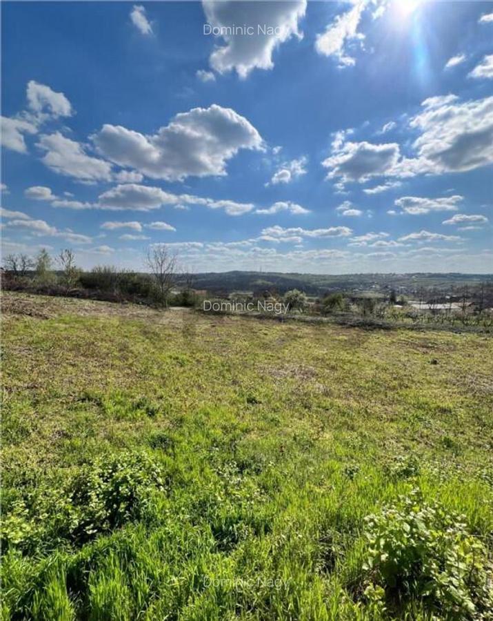 RECO teren de in zona Paleu - 7