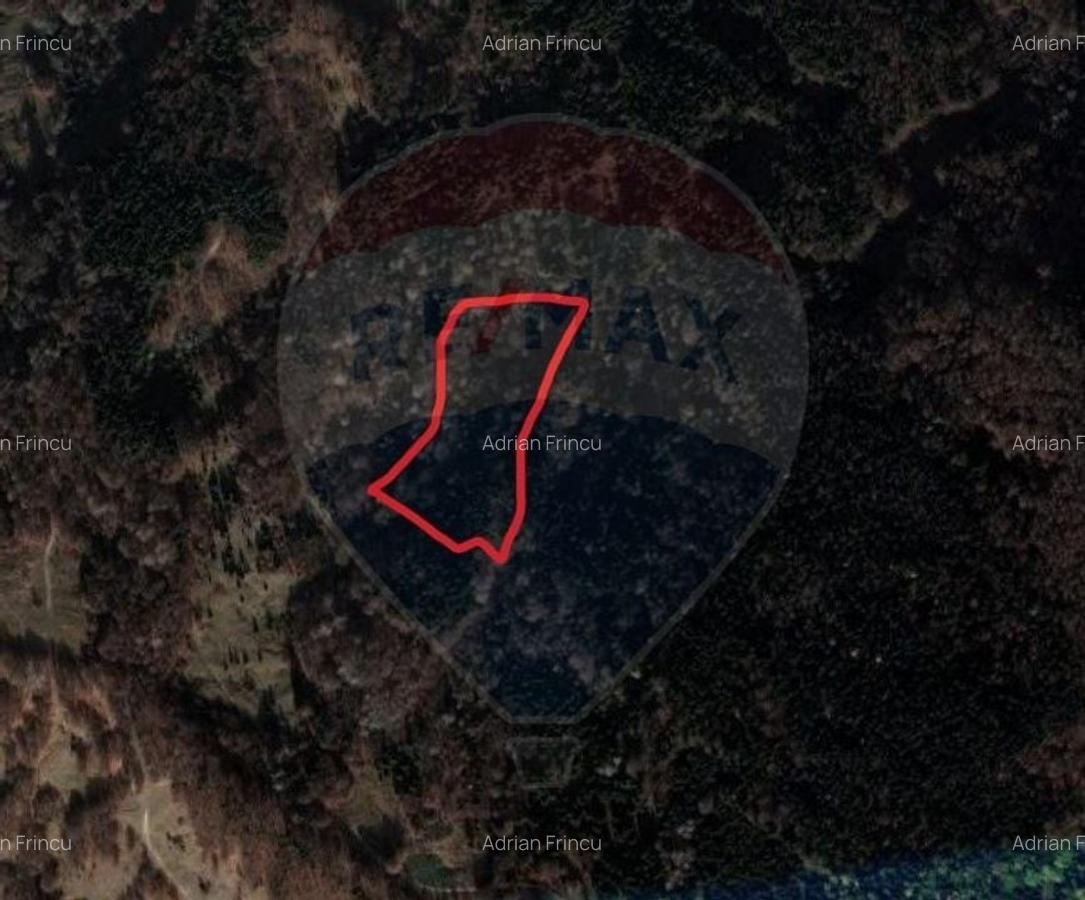 Teren extravilan de 14600 mp, în Tărlungeni - 5