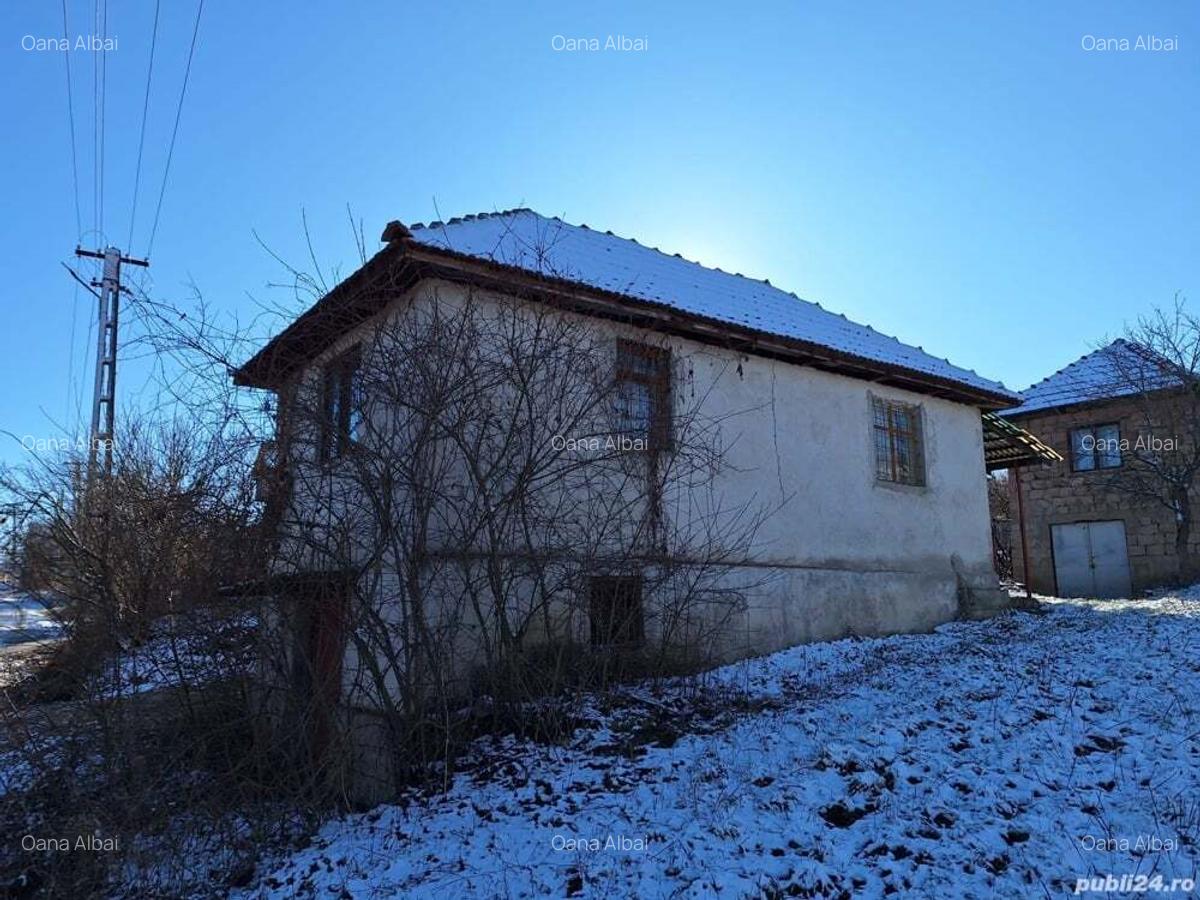 Vand casa cu vie localitatea Ineu judetul Arad - 3