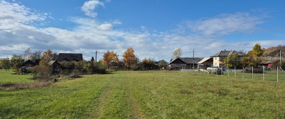 Chechis, 27 ari teren intrav. - 2