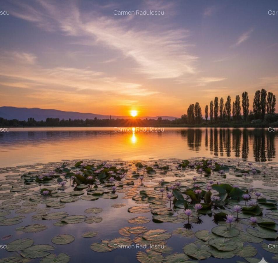 TEREN SILISTEA SNAGOVULUI 5000mp iesire LAC 30ml - 1