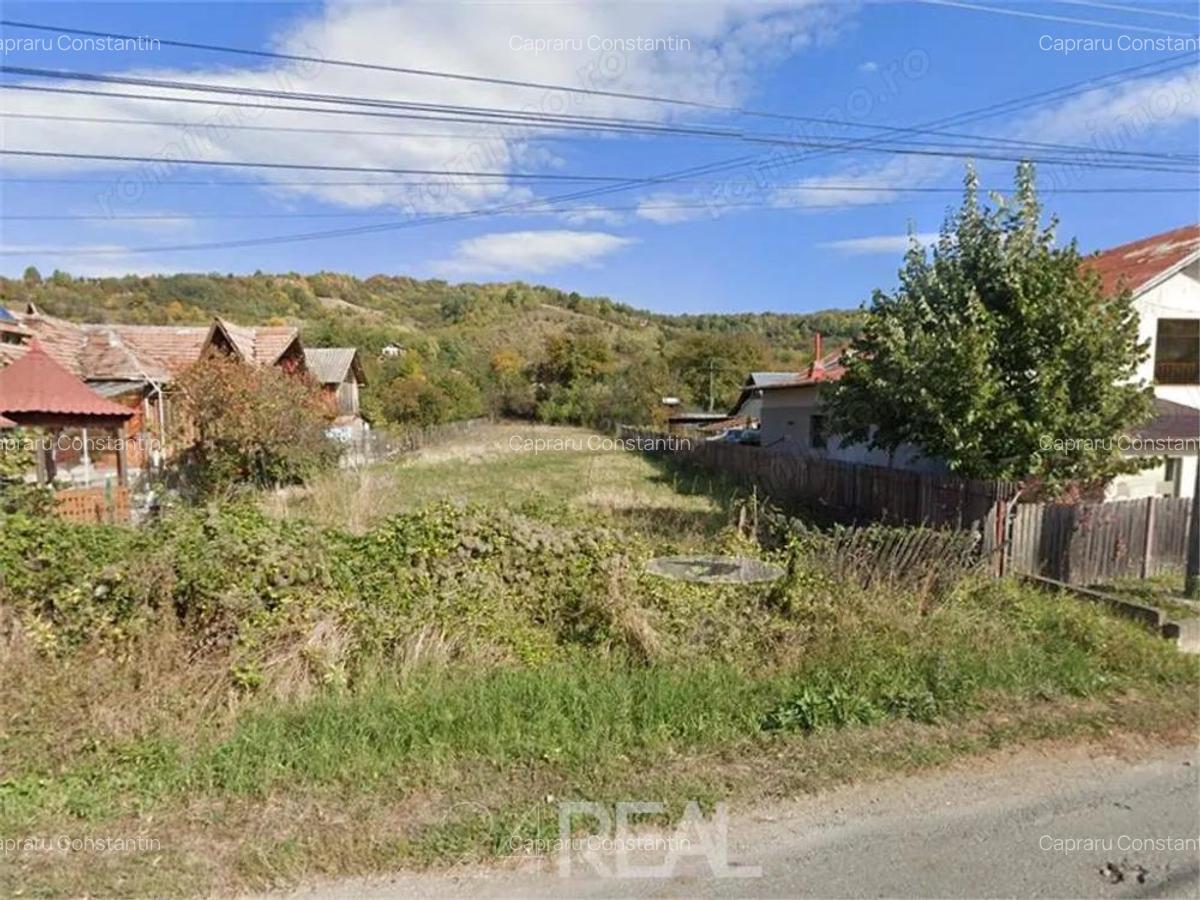 Teren de vanzare Drajna de Sus, zona buna pentru case vacanta - 1