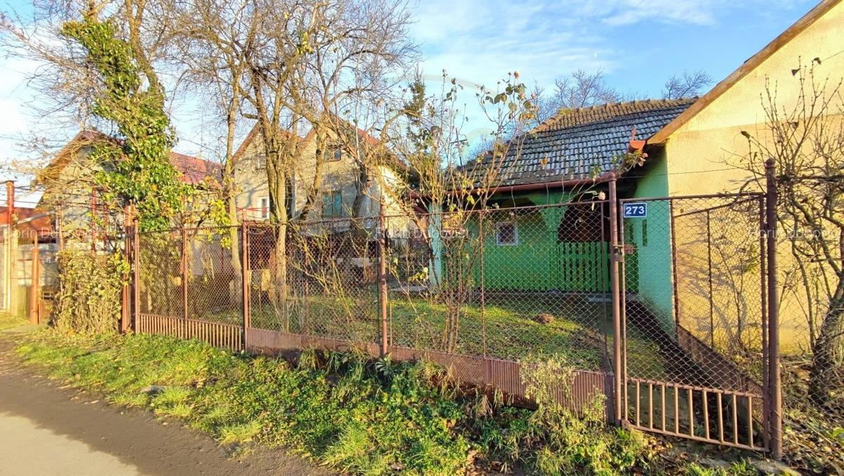 De vanzare Casa 2 camere cu Teren 1323 mp, 2 fronturi - Gradina Viilor - Carei - 10