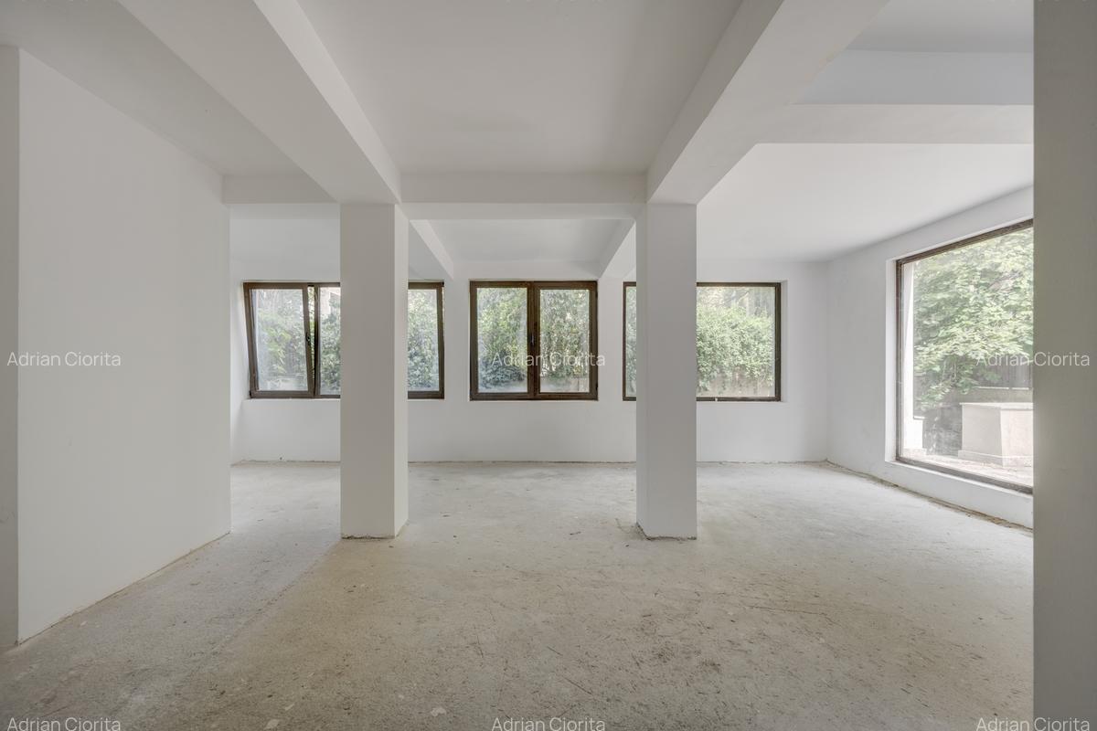 Vila Primaverii, S+P+1+M, 389 mp teren, 266 teren liber - 3