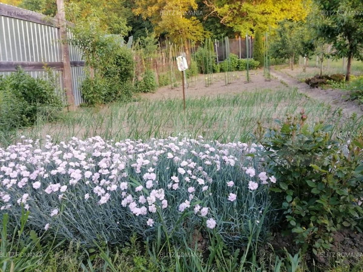 Casa de vanzare in Blaj, jud. Alba,3 camere - 10
