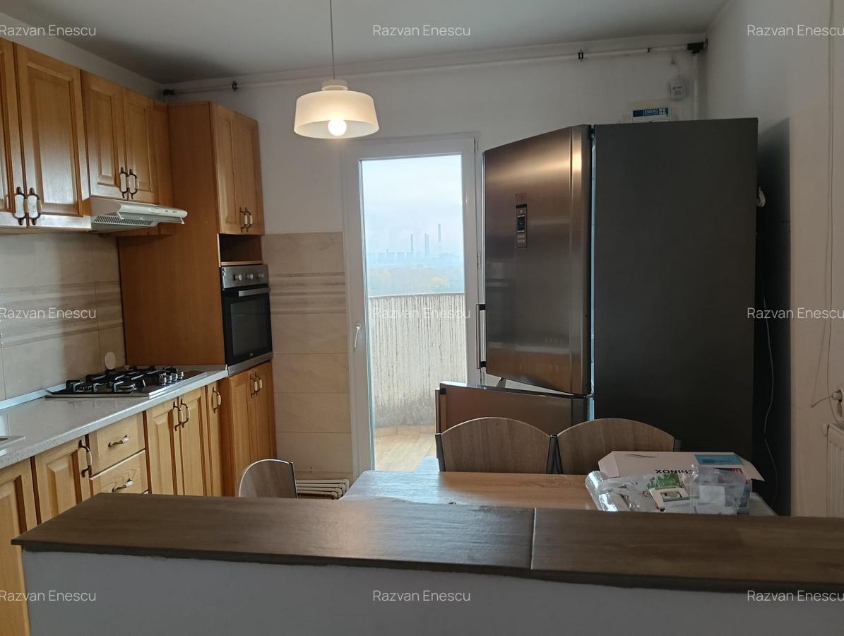 Primul chirias, Vedere superba asupra Parcului Natural Vacaresti - 6