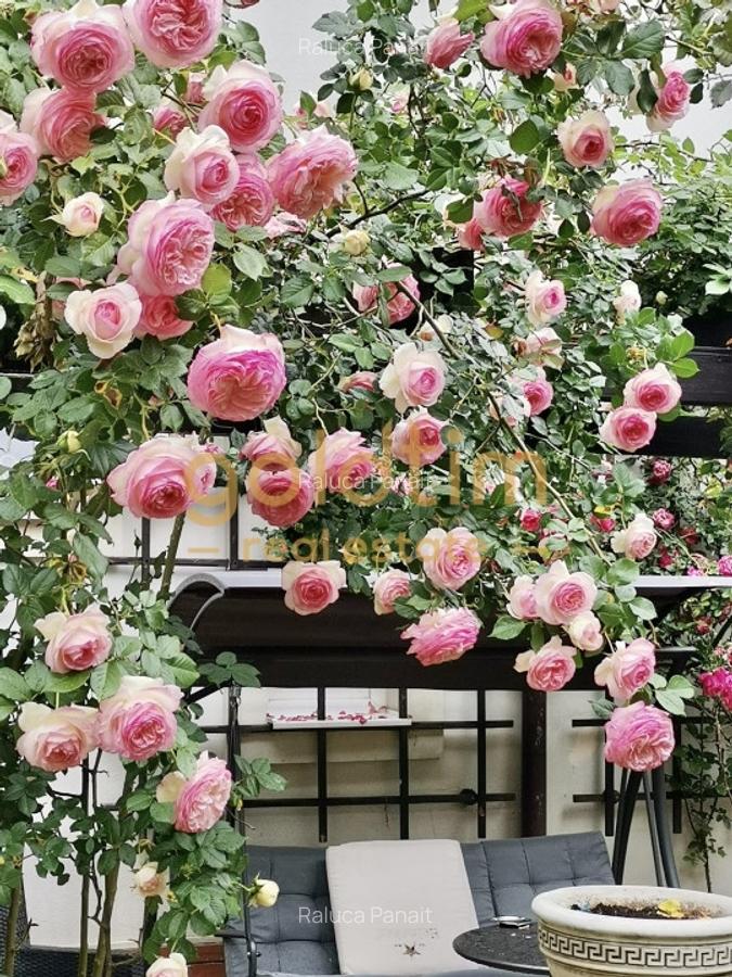 IANCU NICOLAE/ GRADINA SUPERBA/LOCURI DE PARCARE/SPATII GENEROASE - 52