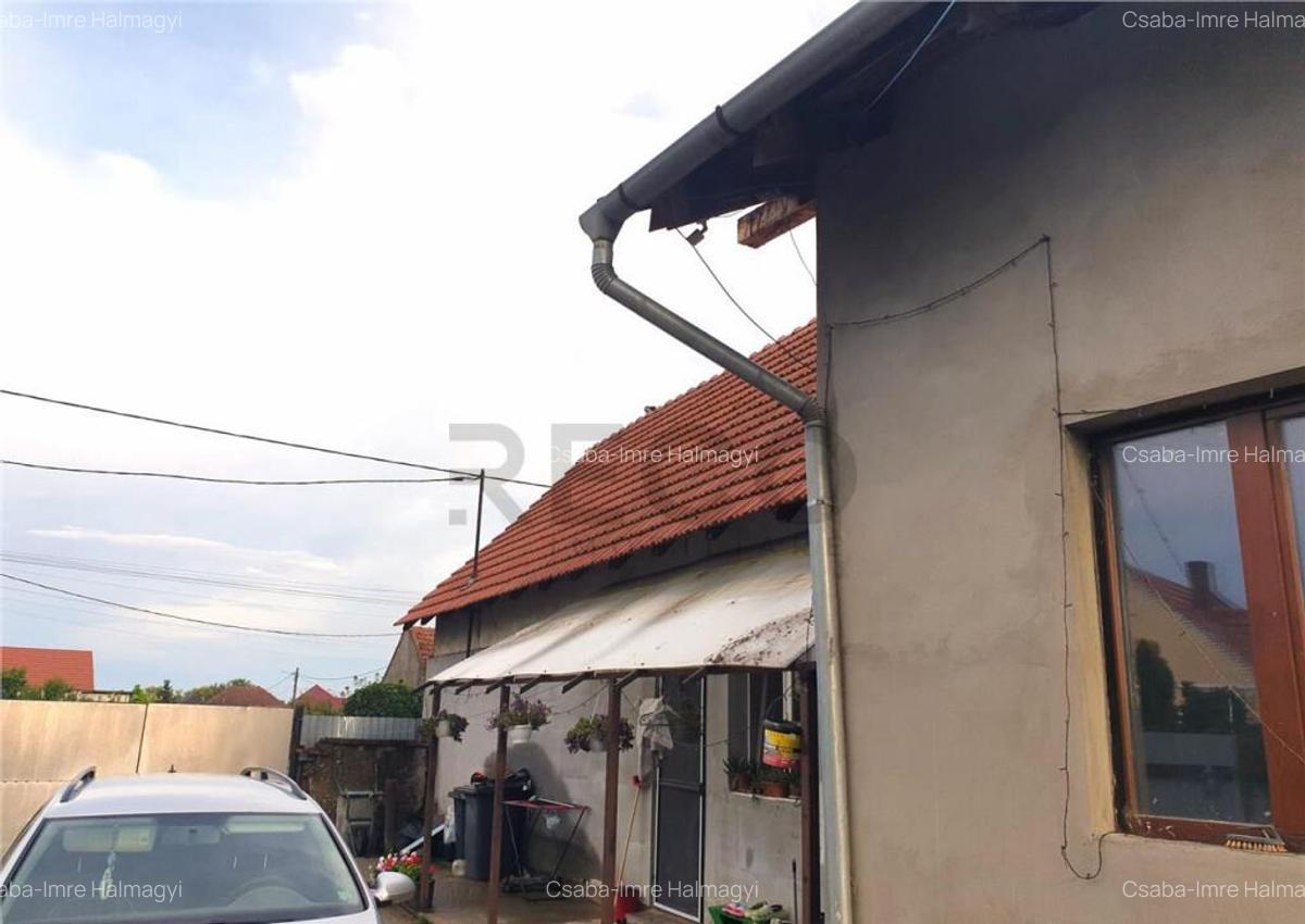 Teren Mare cu 2 case in Biharia. - 17