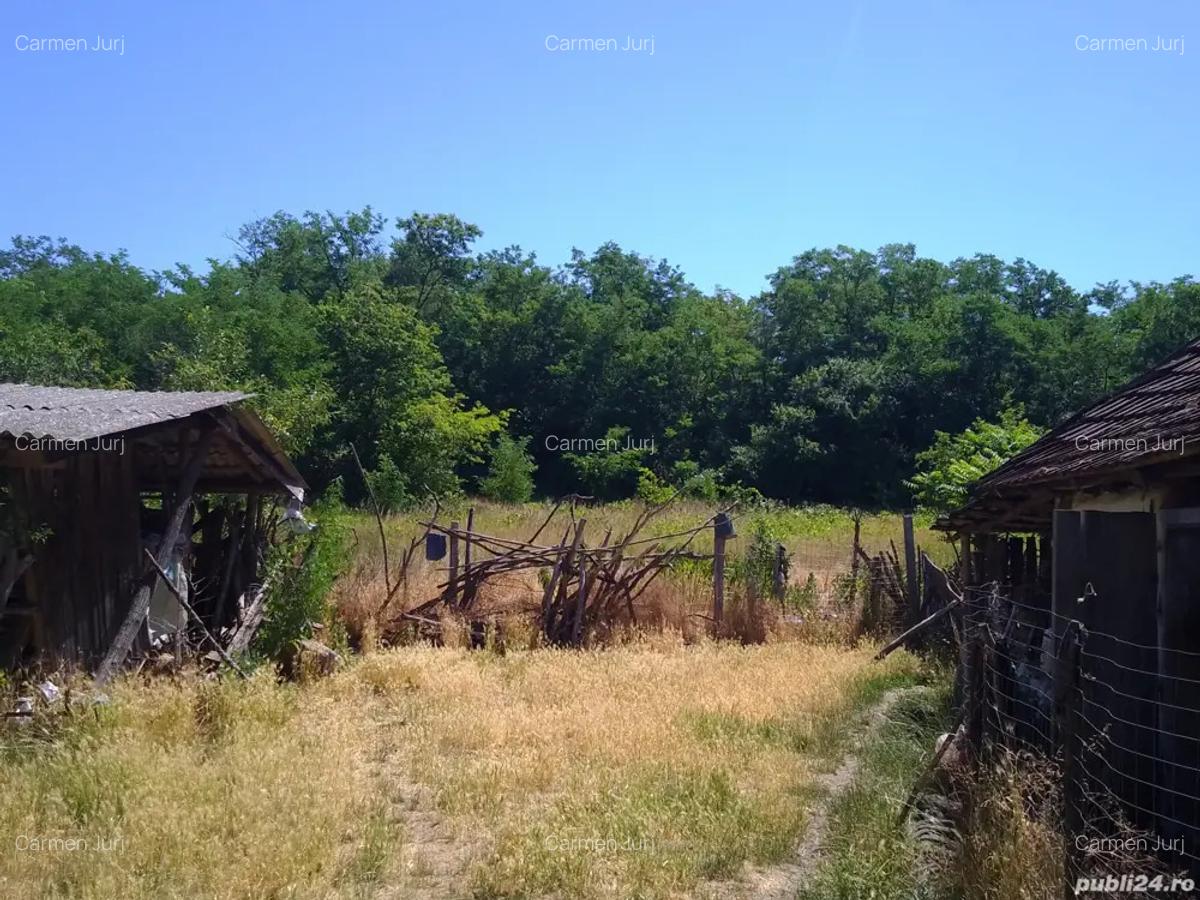 Casa de vanzare - 3