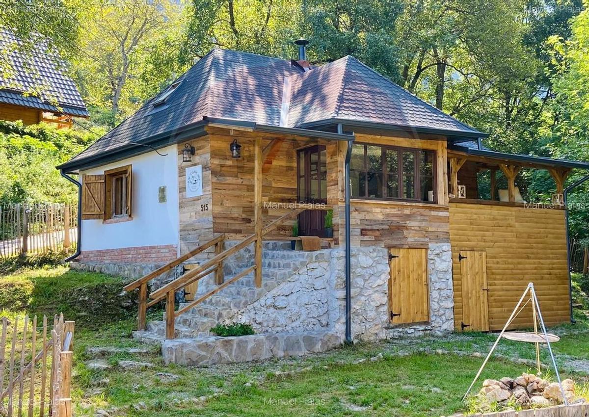 Casa de vacanta la munte de vanzare - 1