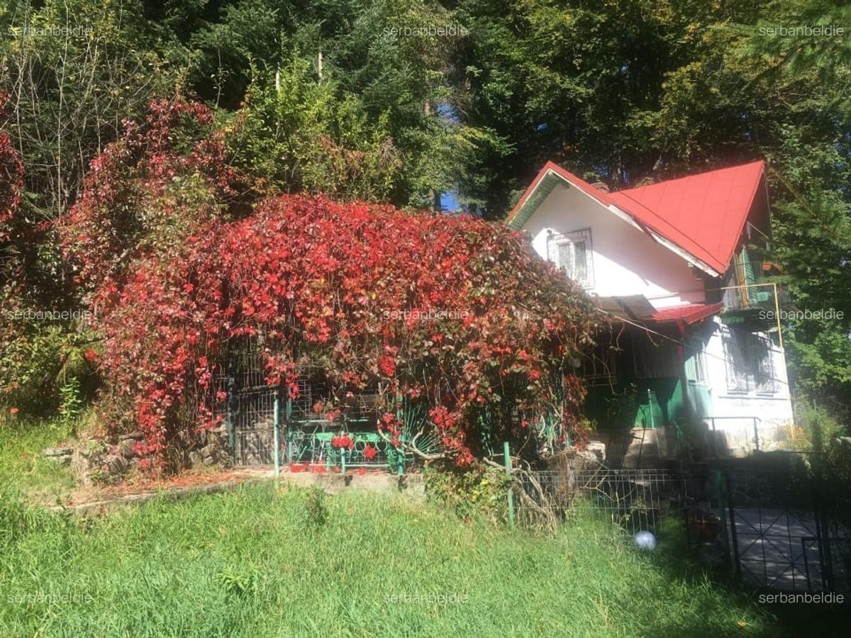 Casa si teren 1000 mp, Sinaia, zona excelenta, pe Furnica, langa Peles - 6